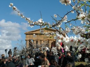 Sagra del mandorlo in fiore di Agrigento - da tr98.it