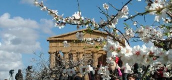 Sagra del mandorlo in fiore di Agrigento - da tr98.it