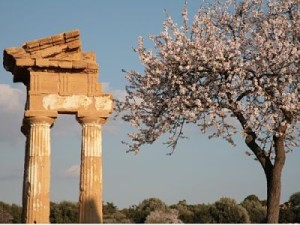 Sagra del mandorlo in fiore - da vacanzesiciliane.net